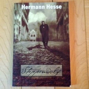 Stephen Wolfe  by Herman Hesse
